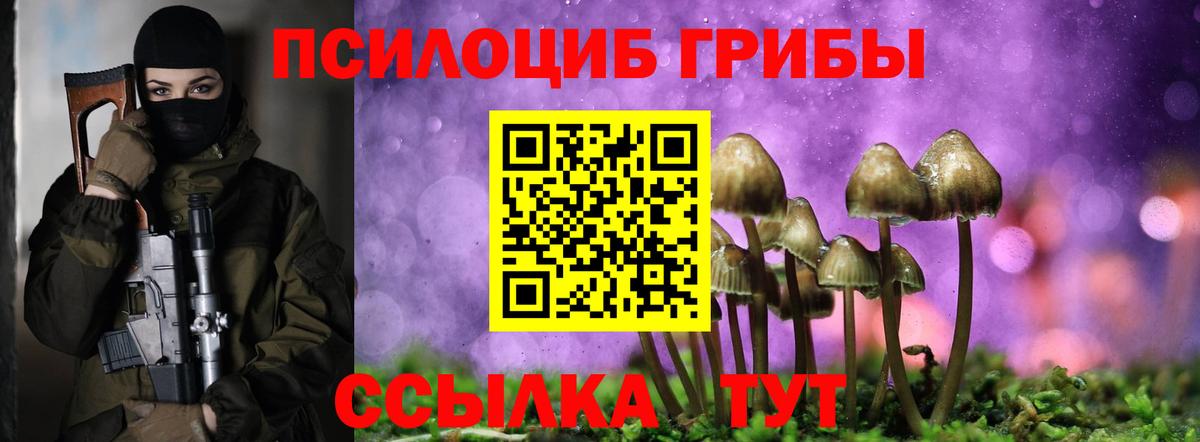 Якутск  купить   Вход с VPN  Псилоцибиновые грибы Psilocybine cubensis 